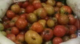 WhatsApp-Image-2021-05-02-at-16.34.42