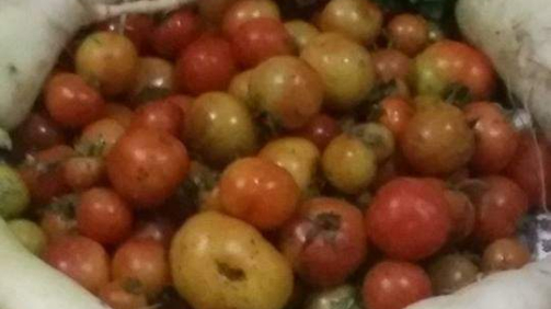 WhatsApp-Image-2021-05-02-at-16.34.42