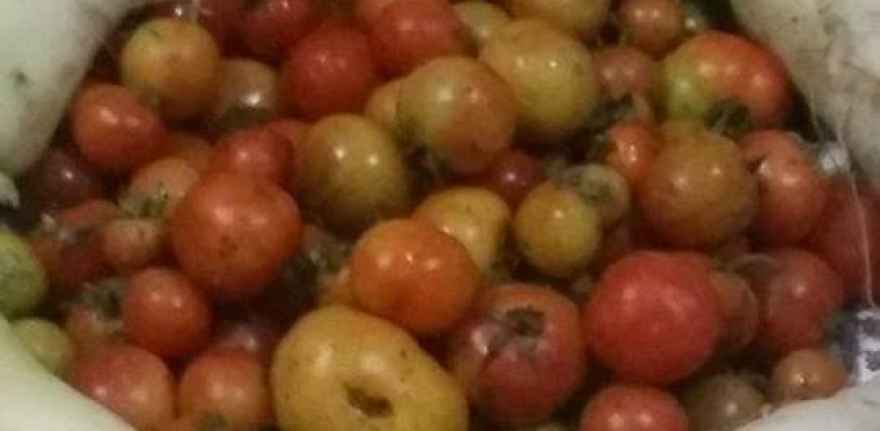 WhatsApp-Image-2021-05-02-at-16.34.42