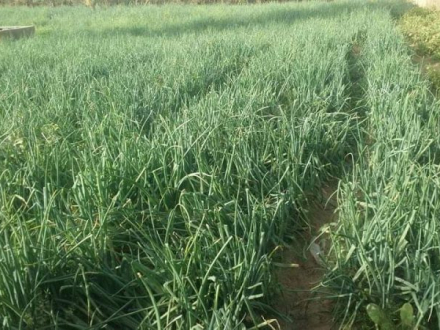 WhatsApp-Image-2021-05-02-at-16.34.43-800x450