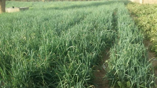 WhatsApp-Image-2021-05-02-at-16.34.43-800x450