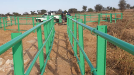 WhatsApp-Image-2021-05-02-at-16.48.34